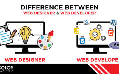 What Is the Difference between Web Designer and Web Developer