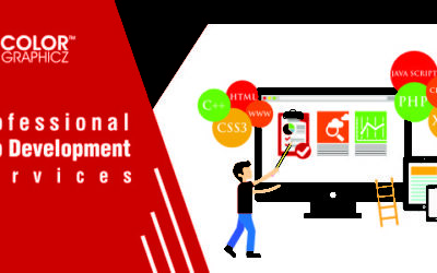 Importance of Professional Web Development Services for Your Business